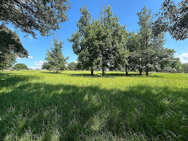 Photo of 5901 Fm 1701, Avery, TX