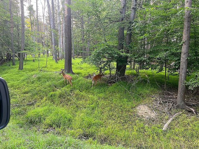 Image of 482 Fox Ridge Rd