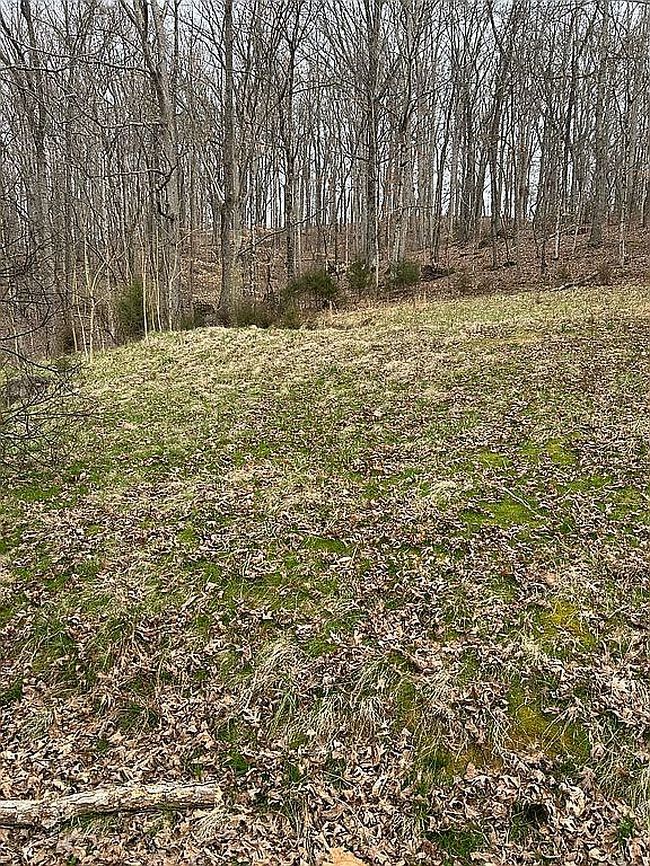 Image of 6021 Panther Creek Rd