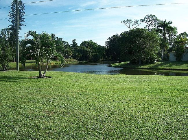 Image of 4419 Lakewood Blvd