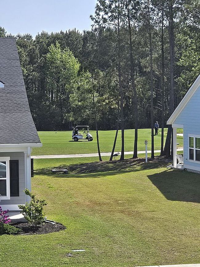 Photo of 5864 Whitebark Dr, Myrtle Beach, SC