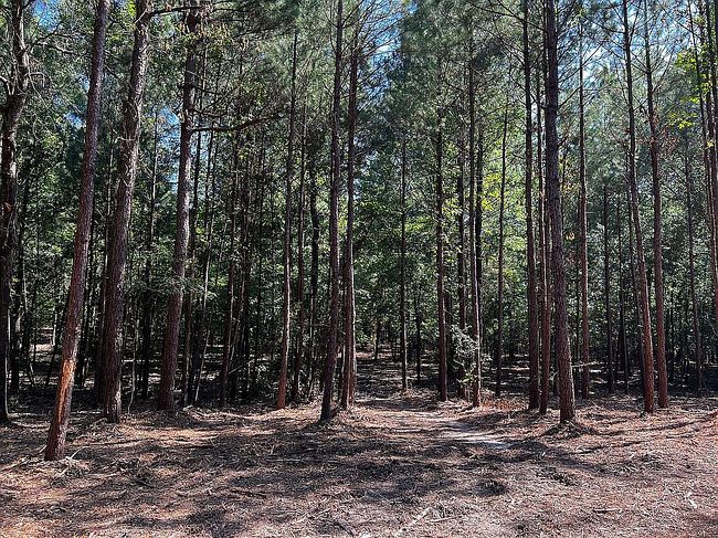 Photo of La Darr Rd, Little Rock, AR
