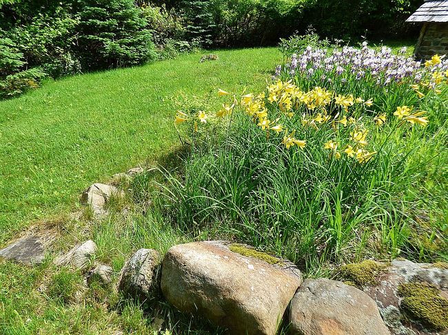 Photo of 499 Buck Mountain Rd, Crown Point, NY