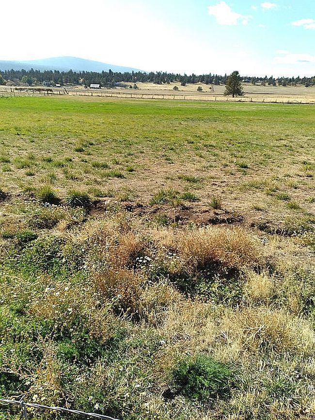 Image of 12859 Highway 66