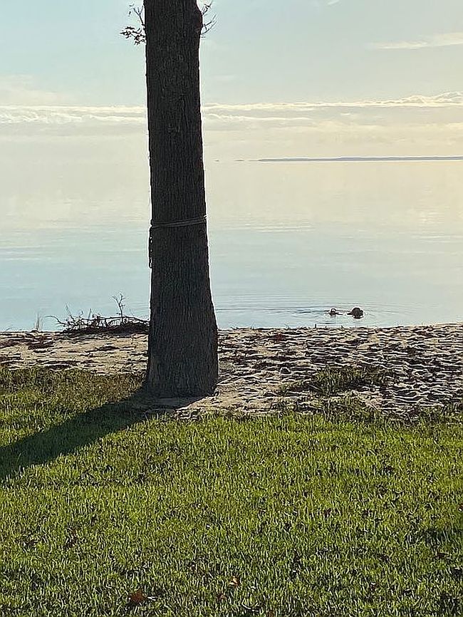 Image of 279 Wiggins Point Rd