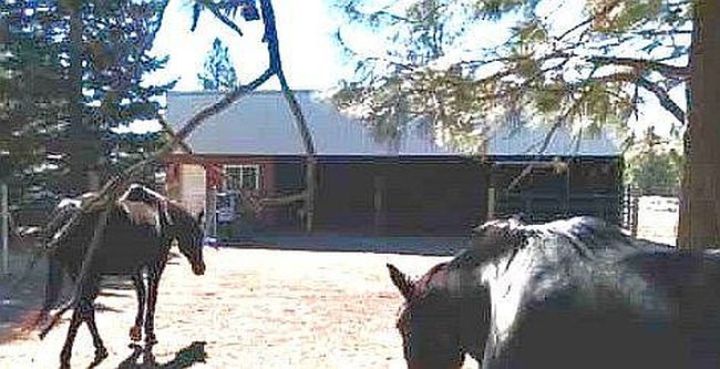 Image of 28211 N Cottonwood Rd