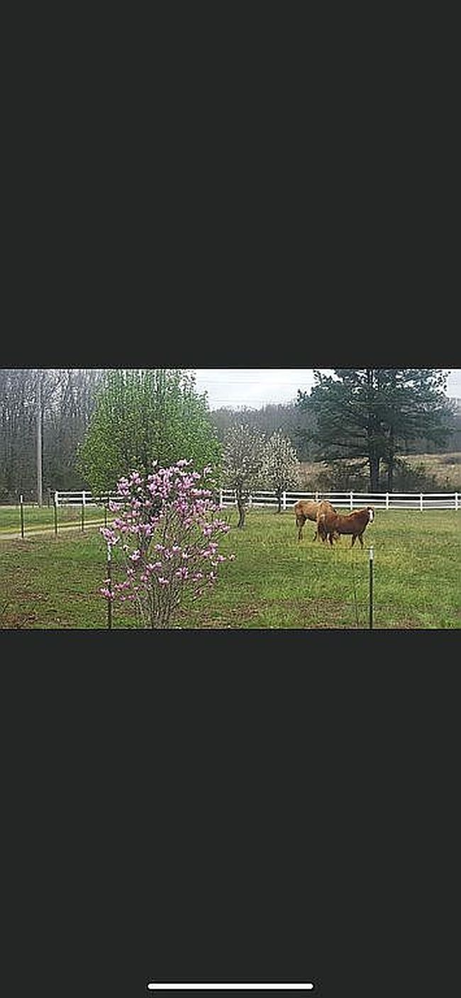 Photo of 900 County Road 730, Jonesboro, AR
