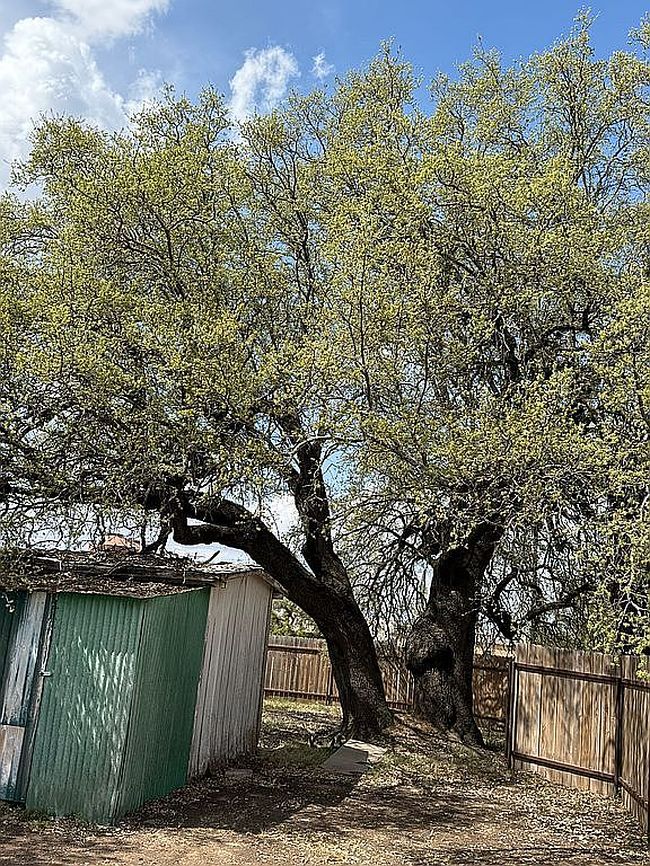 Photo of 206 N 4th St, Lometa, TX