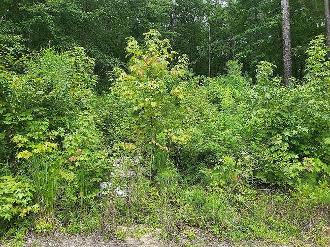 Photo of 80 Woodhill Trce, Wetumpka, AL