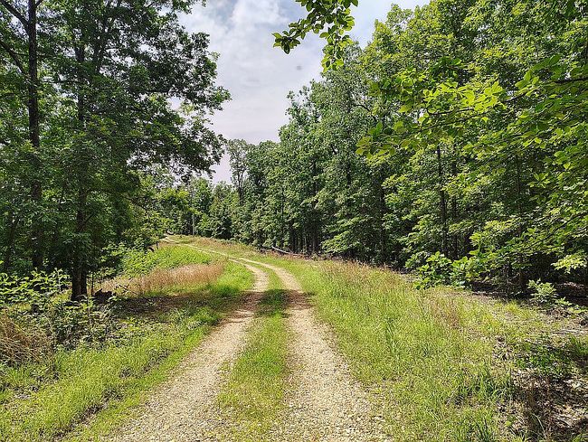 Photo of 498 Peaceful Ln, Yellville, AR