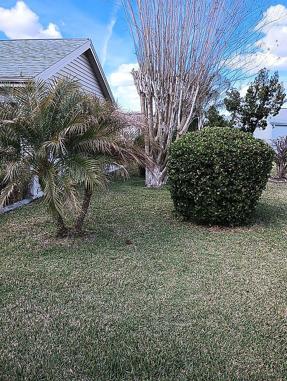 Image of 419 Aldama Ave