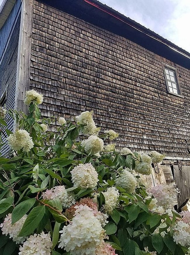 Photo of 331 Parade Rd, Barnstead, NH