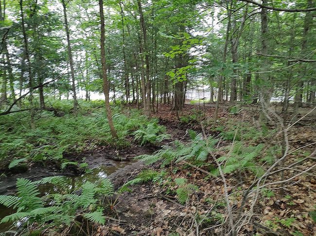 Image of 0 Lovejoy Pond Rd