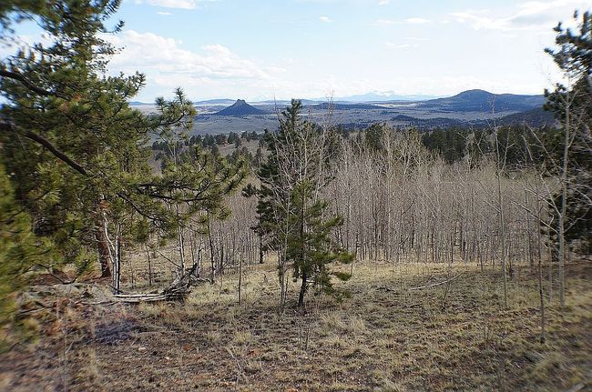 Image of 142 Bear Gulch Way