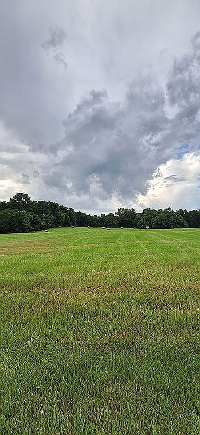 Photo of 198 Fm 2974, Center, TX