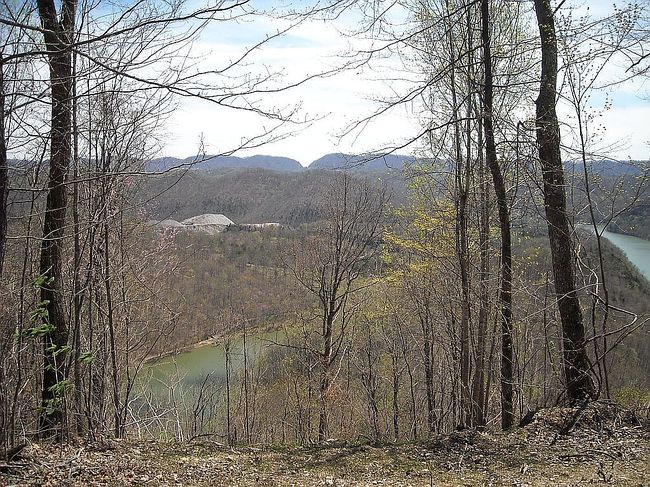 Image of 588 Long Beard Ln