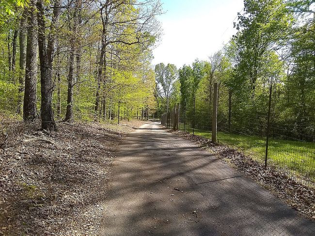 Image of 1000 County Road 273