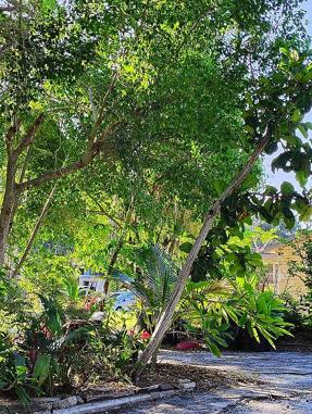 Image of 820 Bayou Ave