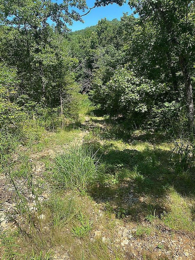 Photo of 100 N Woods Way, Branson, MO