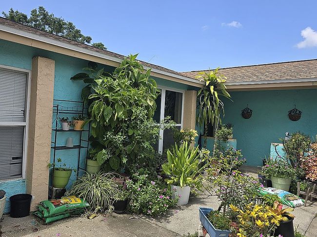 Photo of 10116 Wheatley Hills Ct #0, Tampa, FL