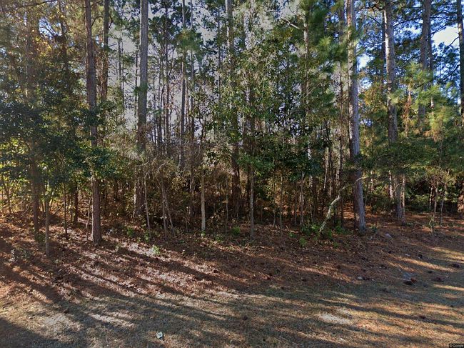 Photo of 526 Winterberry Ln, Myrtle Beach, SC