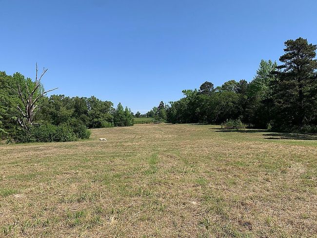 Image of 1729 County Road 2225