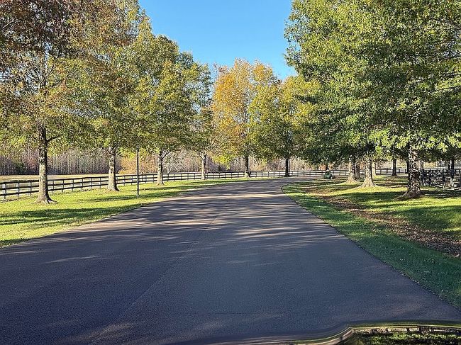 Photo of 590 Justana Dr, Collierville, TN