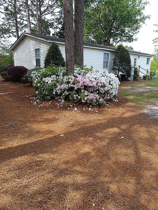 Photo of 310 Canady St, Fayetteville, NC