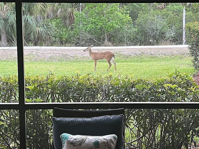 Photo of 9998 Horse Creek Rd, Fort Myers, FL