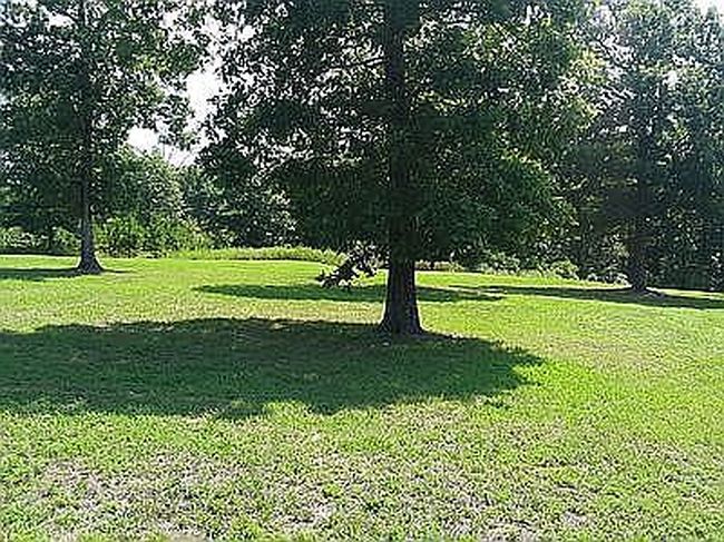 Image of 24665A State Highway 19