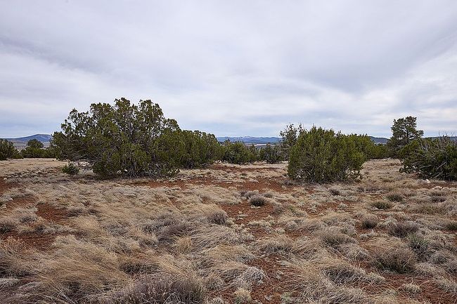 Photo of 34 County Road 8010, Concho, AZ