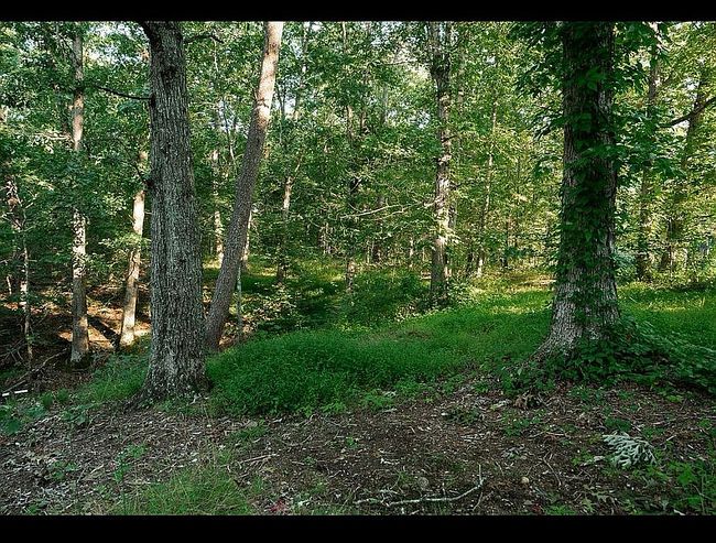 Additional photo 3 of property located at 890 Silver Ridge Rd