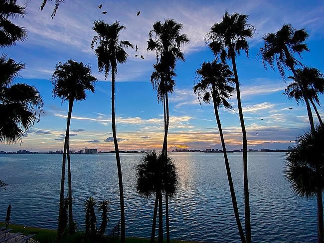 Photo of 55 Rogers St Apt 402, Clearwater, FL