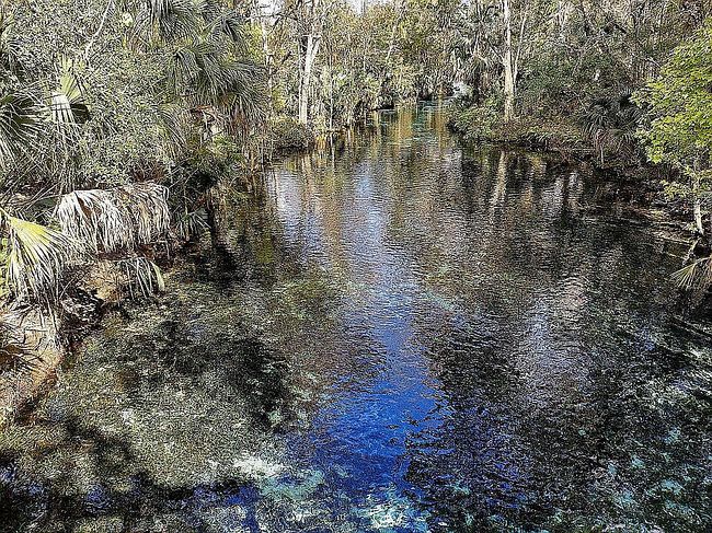 Photo of Sw 121st Ter, Dunnellon, FL