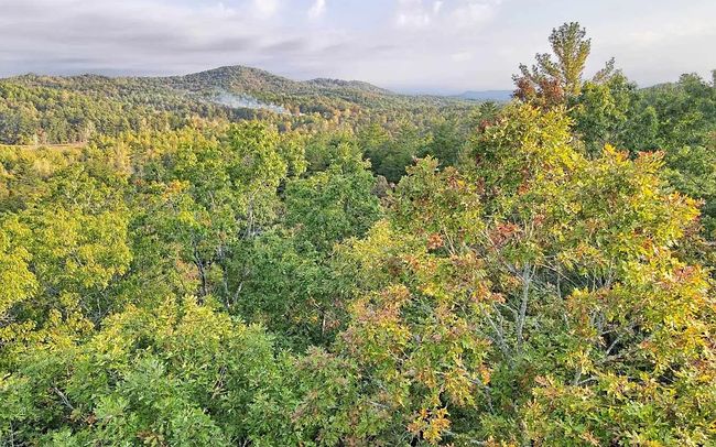 Photo of 0 Cook Henry rd. Morganton, Morganton, GA