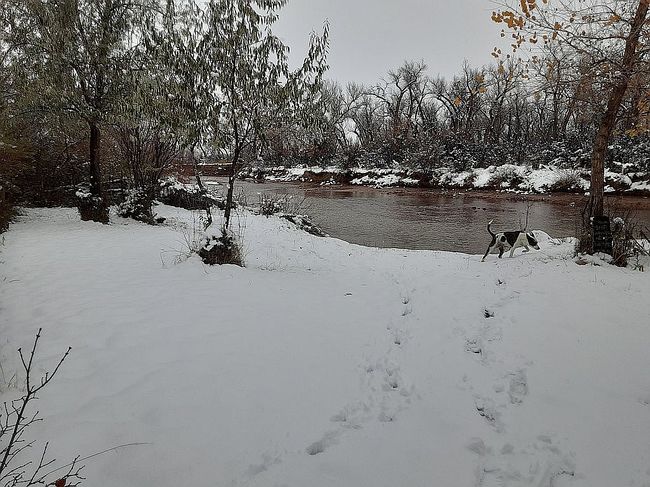 Image of 26 Private Drive 1618A