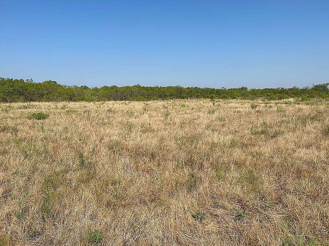 Image of 1053 Gold Dust Rd