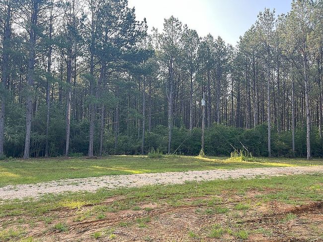 Photo of 4065 Judge Rd, Liberty, MS