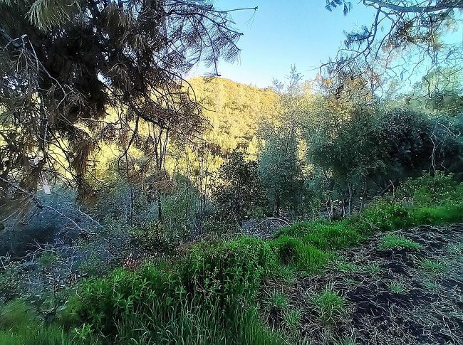 Image of 4622 Kaweah Rd