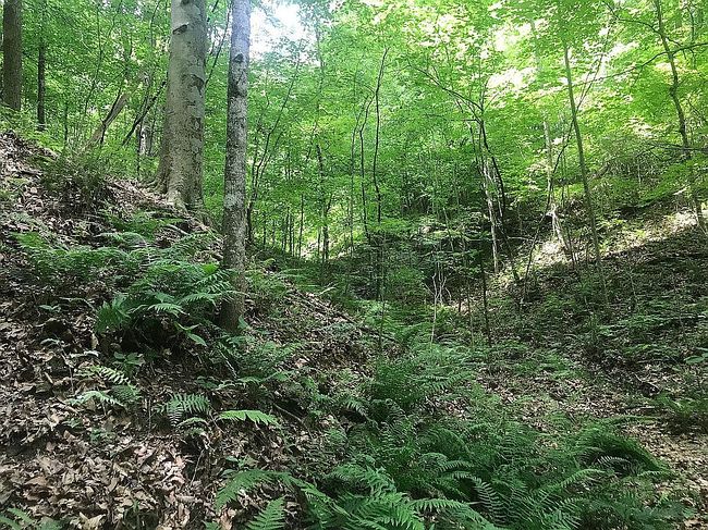 Photo of 5368 Cross Creek Rd, Joelton, TN