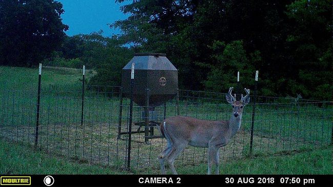 Image of 474 County Road 2745