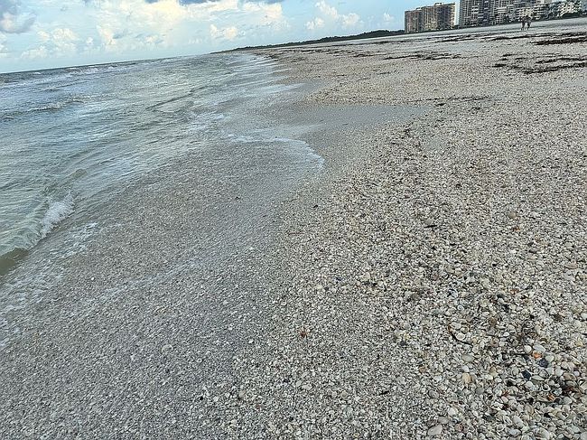 Photo of 1549 Sandpiper St #16, Naples, FL