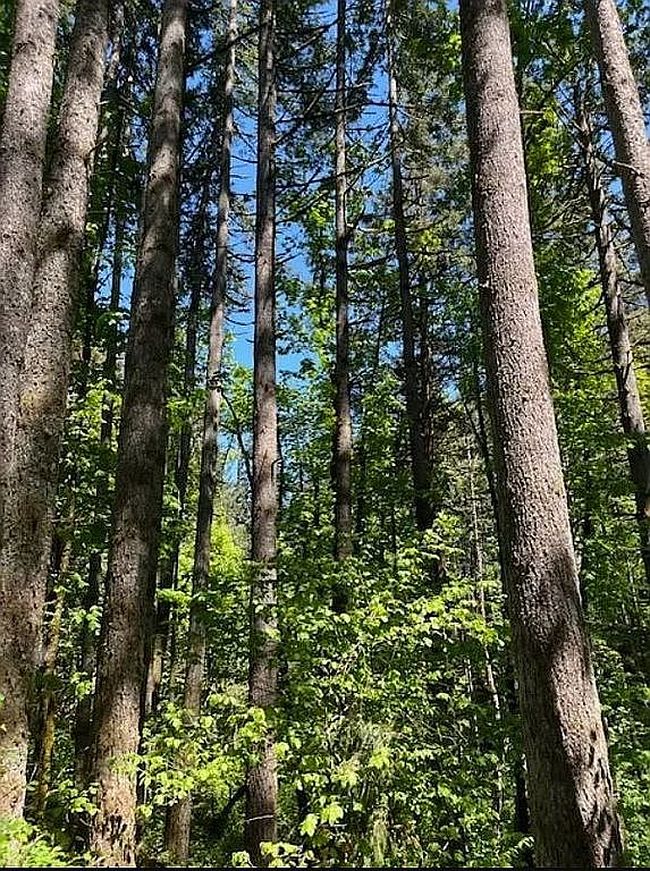 Additional photo 1 of property located at 2678 Drift Creek Rd Ne