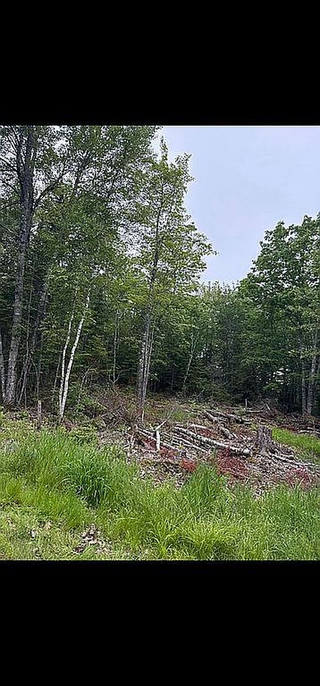 Photo of 272 Bucksport Rd, Ellsworth, ME