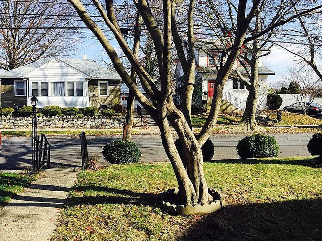Image of 740 Sharon Ave