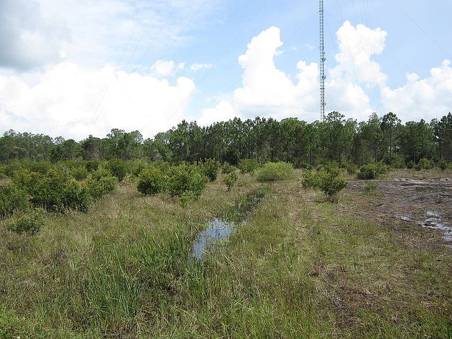 Image of 12751 State Road 31