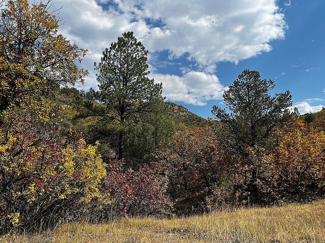 Image of 11800 Primero Ranch Rd