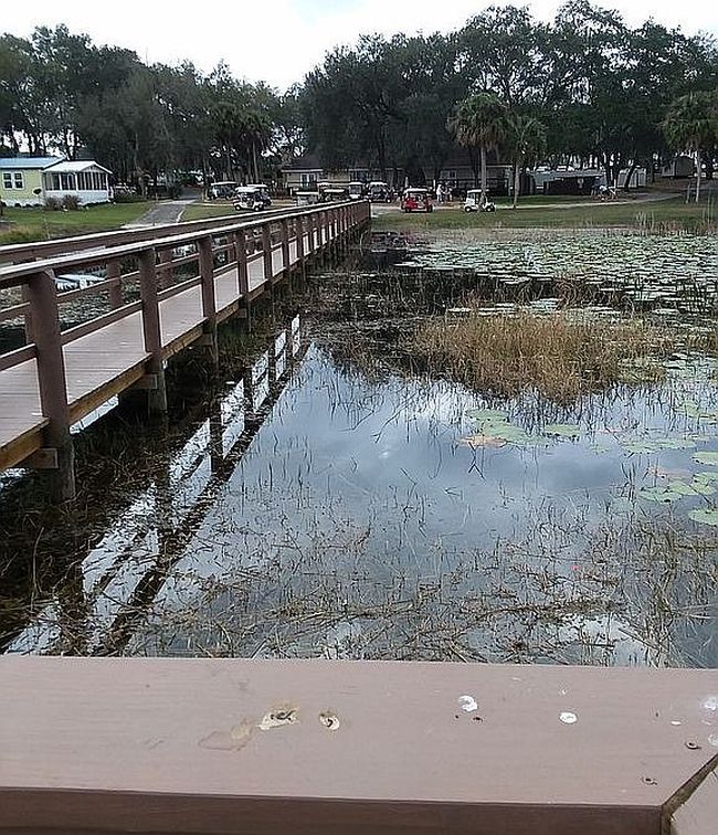 Photo of 9701 E Highway 25 Lot 246, Belleview, FL