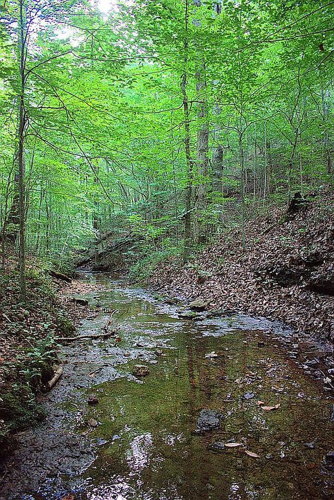 Photo of 3385 Hill Creek Rd, Woodbury, TN