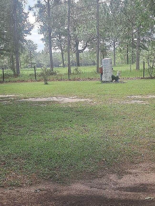 Photo of 168 Jones Dean Rd, Climax, GA